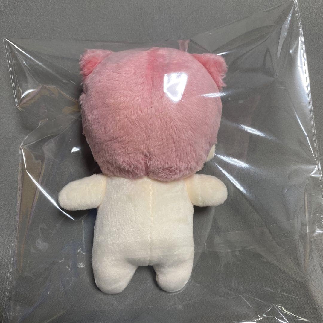 Amazon.co.jp: チョンロ ぬいぐるみ 15cm マスター nct : おもちゃ